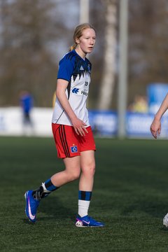 Bild 394 - wBJ Hamburger SV - Hertha BSC : Ergebnis: 2:1